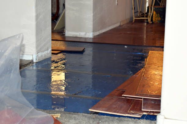 Professional Emergency Water Damage technician working in Stover, MO